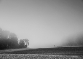 Caption Text