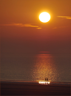 Caption Text